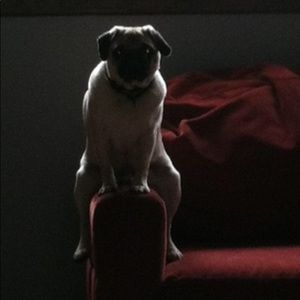 Meet your Posher, Melissa